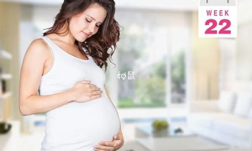 孕妇梦见蛇在茶壶里什么意思-孕妇梦见蛇在茶壶里网 | 孕妇梦见蛇在茶壶里爬行,孕妇梦见蛇进碗里