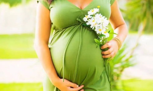 孕妇梦见蛇盘在椅子上总想咬自己怎么回事-孕妇梦见蛇在茶壶里网 | 孕妇梦见蛇在茶壶里爬行,孕妇梦见蛇进碗里