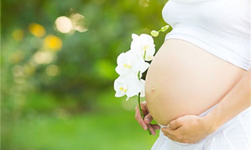 孕妇梦见蛇在茶壶里什么意思-孕妇梦见蛇在茶壶里网 | 孕妇梦见蛇在茶壶里爬行,孕妇梦见蛇进碗里