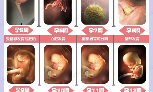 孕中期梦到大蛇在有水的桶里盘着-孕妇梦见蛇在茶壶里网 | 孕妇梦见蛇在茶壶里爬行,孕妇梦见蛇进碗里